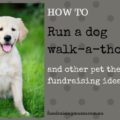 How to hold a dog walkathon and other pet themed fundraisingi deas