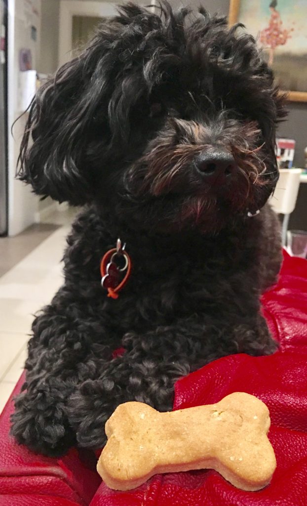 Delicious peanut butter dog treats | Fundraising Mums