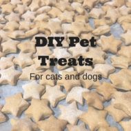 DIY Pet Treats