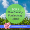 Top 5 Eco Friendly Fundraising Ideas | Fundraising Mums